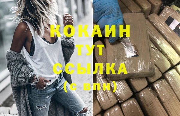 дживик Касимов
