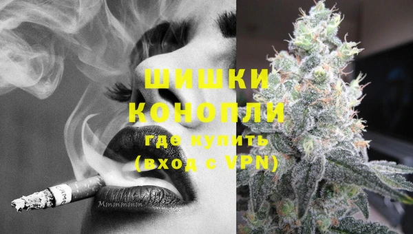 дживик Касимов