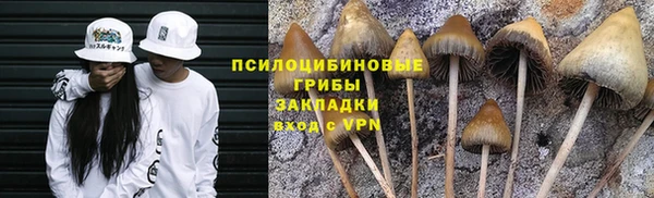 дживик Касимов