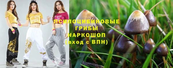 spice Карталы