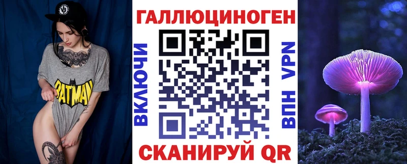 Псилоцибиновые грибы GOLDEN TEACHER  продажа наркотиков  Котлас 