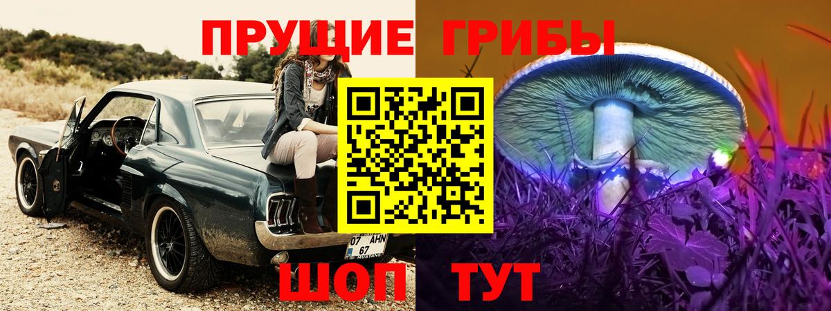 Галлюциногенные грибы мухоморы  Псилоцибиновые грибы MAGIC MUSHROOMS  Котлас  как найти закладки  Вход с VPN 