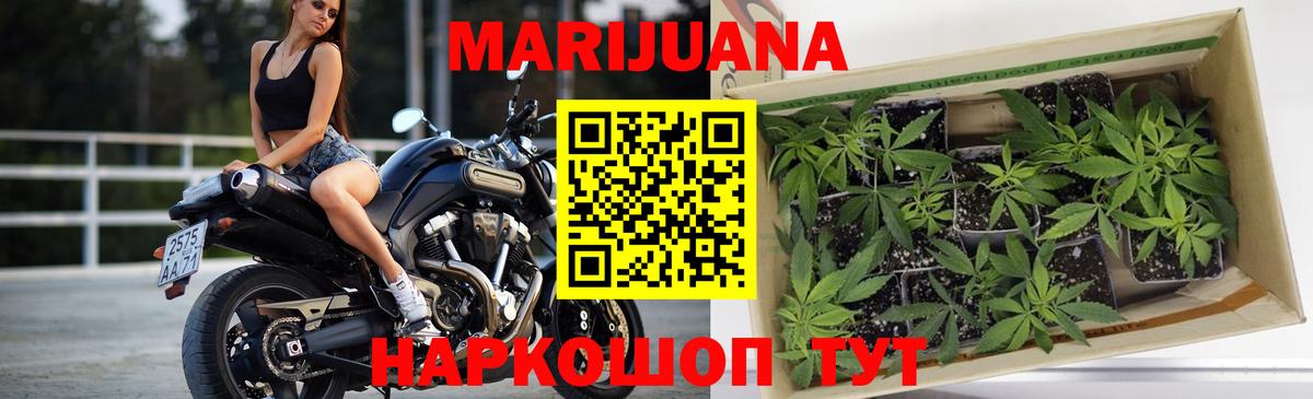 Канабис White Widow Котлас